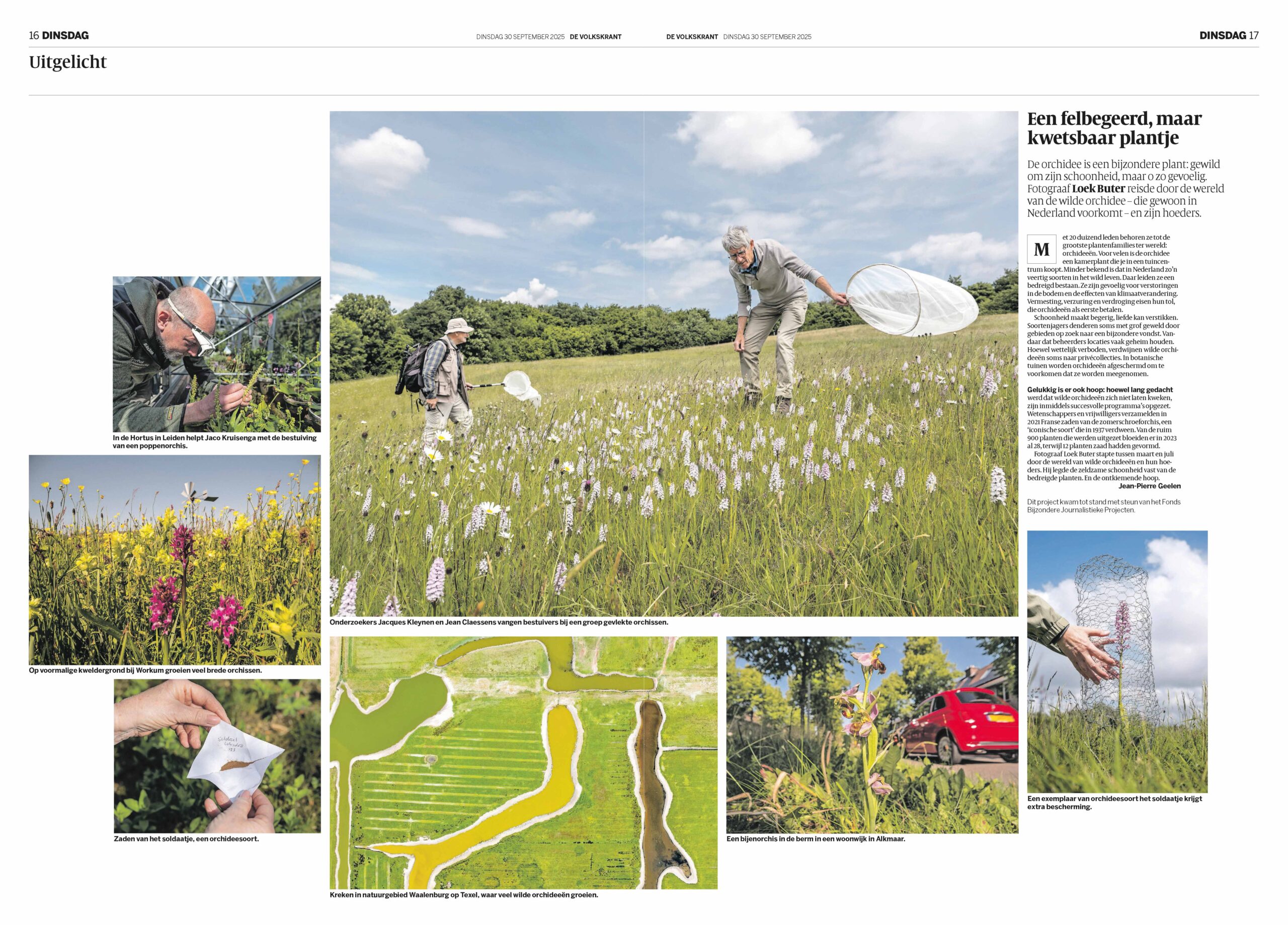 Orchideeënbescherming in het nieuws